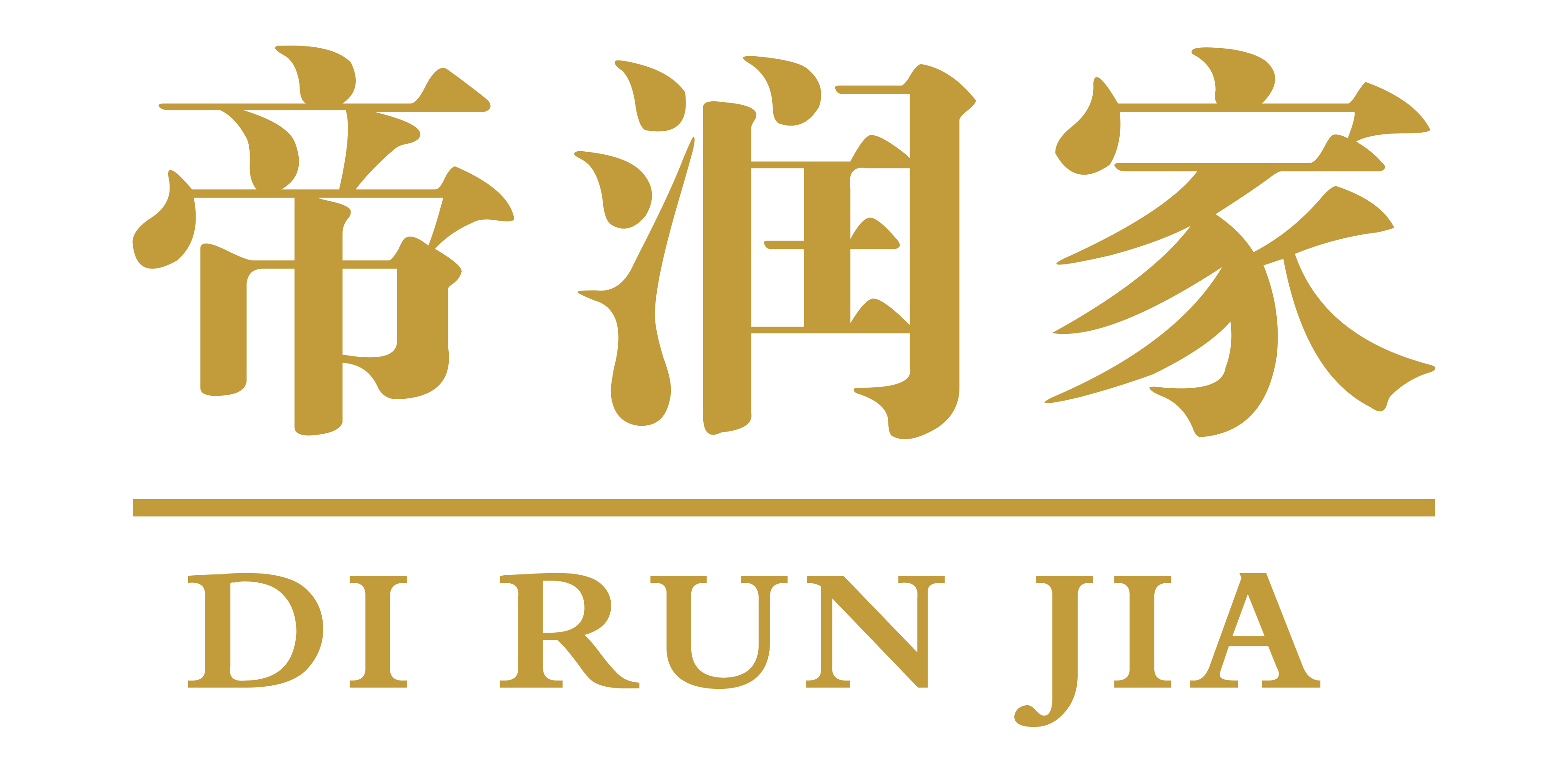 帝润家木门